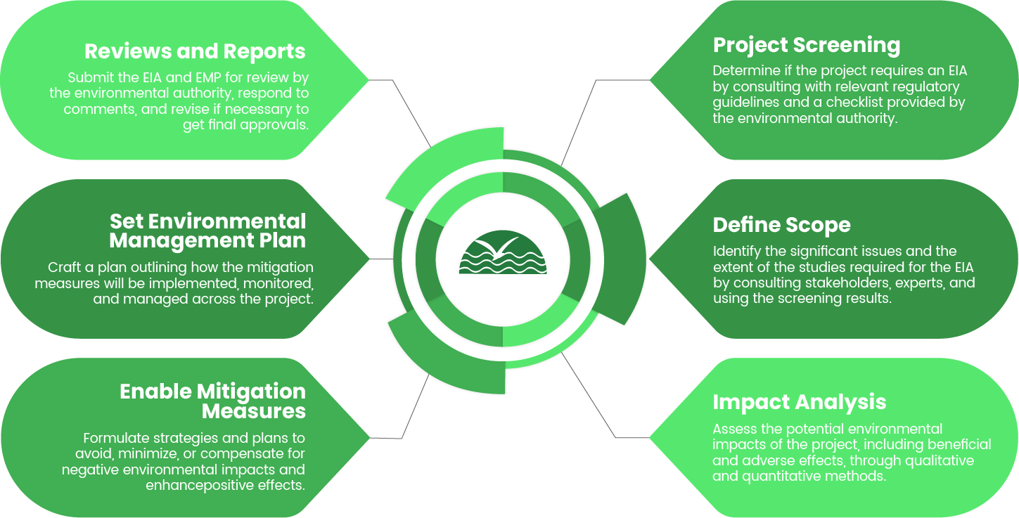 eia-process